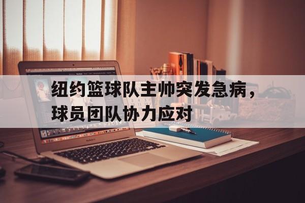 欧宝体育-纽约篮球明星